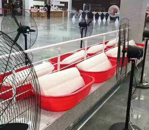 陕西香蕉视频成人冰块 陕西香蕉视频成人冰块