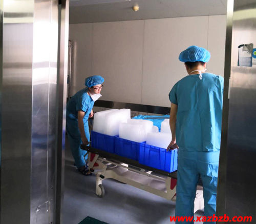 香蕉视频成人冰块厂家 香蕉视频成人冰块厂家