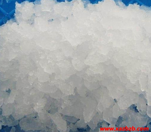 香蕉视频APP免费在线观看厂家